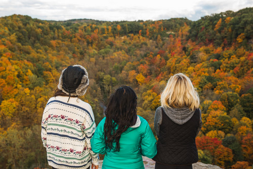 Nature Watching